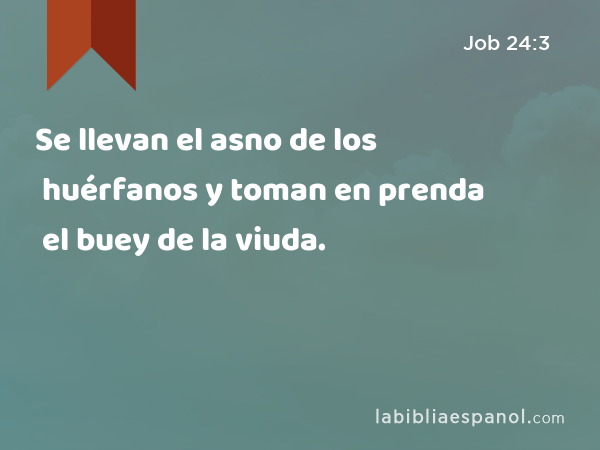 Se llevan el asno de los huérfanos y toman en prenda el buey de la viuda. - Job 24:3