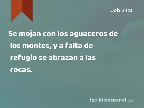 Se mojan con los aguaceros de los montes, y a falta de refugio se abrazan a las rocas. - Job 24:8