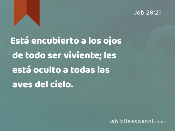 Está encubierto a los ojos de todo ser viviente; les está oculto a todas las aves del cielo. - Job 28:21