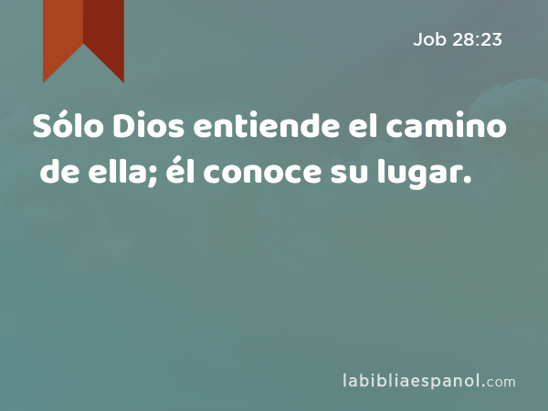 Sólo Dios entiende el camino de ella; él conoce su lugar. - Job 28:23