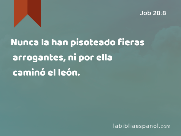 Nunca la han pisoteado fieras arrogantes, ni por ella caminó el león. - Job 28:8