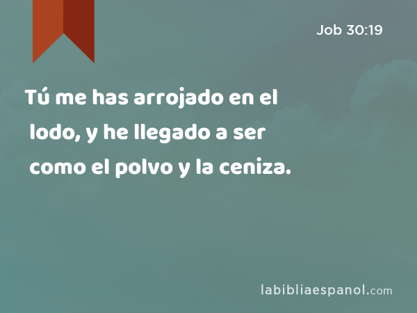 Tú me has arrojado en el lodo, y he llegado a ser como el polvo y la ceniza. - Job 30:19