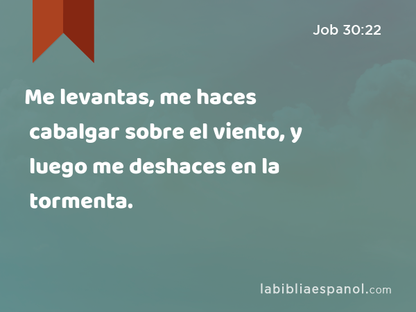 Me levantas, me haces cabalgar sobre el viento, y luego me deshaces en la tormenta. - Job 30:22