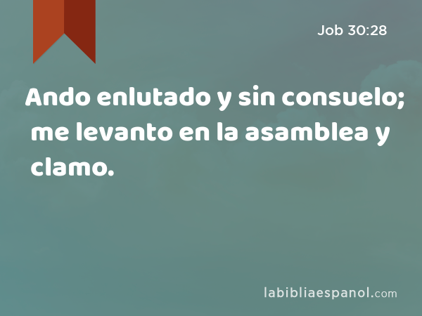 Ando enlutado y sin consuelo; me levanto en la asamblea y clamo. - Job 30:28