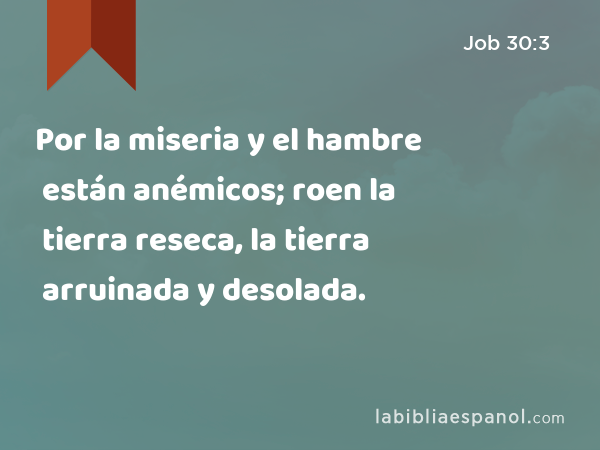 Por la miseria y el hambre están anémicos; roen la tierra reseca, la tierra arruinada y desolada. - Job 30:3