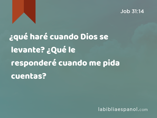 ¿qué haré cuando Dios se levante? ¿Qué le responderé cuando me pida cuentas? - Job 31:14