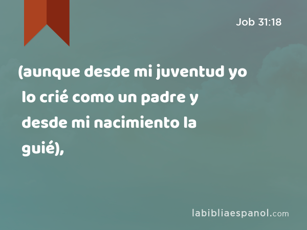 (aunque desde mi juventud yo lo crié como un padre y desde mi nacimiento la guié), - Job 31:18