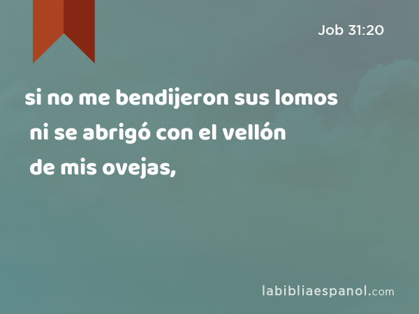 si no me bendijeron sus lomos ni se abrigó con el vellón de mis ovejas, - Job 31:20