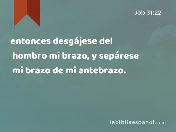 entonces desgájese del hombro mi brazo, y sepárese mi brazo de mi antebrazo. - Job 31:22