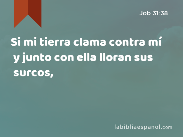 Si mi tierra clama contra mí y junto con ella lloran sus surcos, - Job 31:38