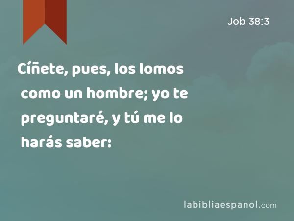 Cíñete, pues, los lomos como un hombre; yo te preguntaré, y tú me lo harás saber: - Job 38:3