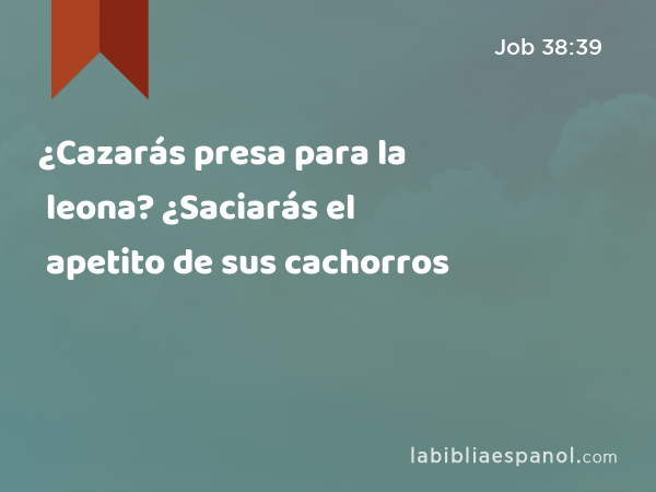 ¿Cazarás presa para la leona? ¿Saciarás el apetito de sus cachorros - Job 38:39