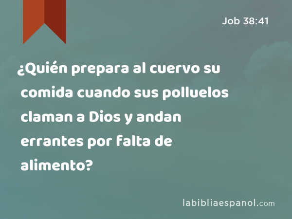 ¿Quién prepara al cuervo su comida cuando sus polluelos claman a Dios y andan errantes por falta de alimento? - Job 38:41