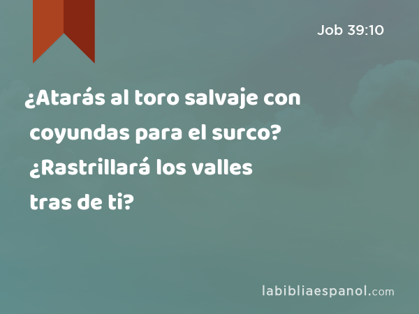 ¿Atarás al toro salvaje con coyundas para el surco? ¿Rastrillará los valles tras de ti? - Job 39:10