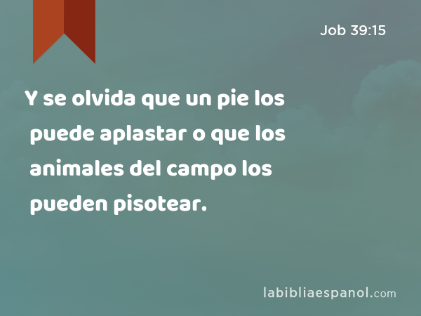 Y se olvida que un pie los puede aplastar o que los animales del campo los pueden pisotear. - Job 39:15