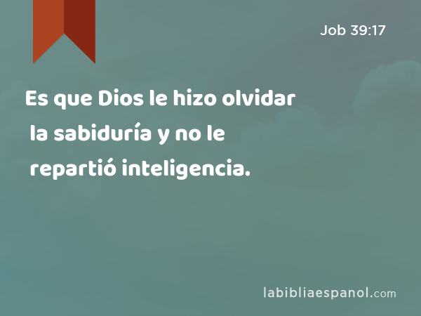 Es que Dios le hizo olvidar la sabiduría y no le repartió inteligencia. - Job 39:17