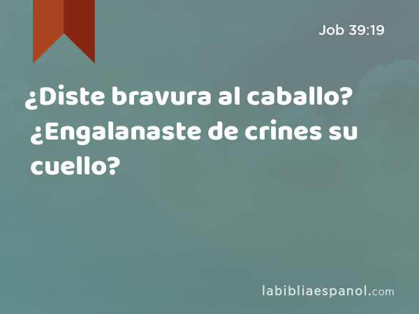 ¿Diste bravura al caballo? ¿Engalanaste de crines su cuello? - Job 39:19