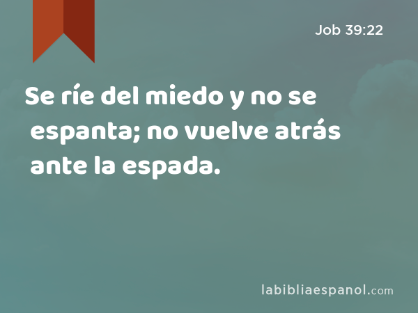 Se ríe del miedo y no se espanta; no vuelve atrás ante la espada. - Job 39:22