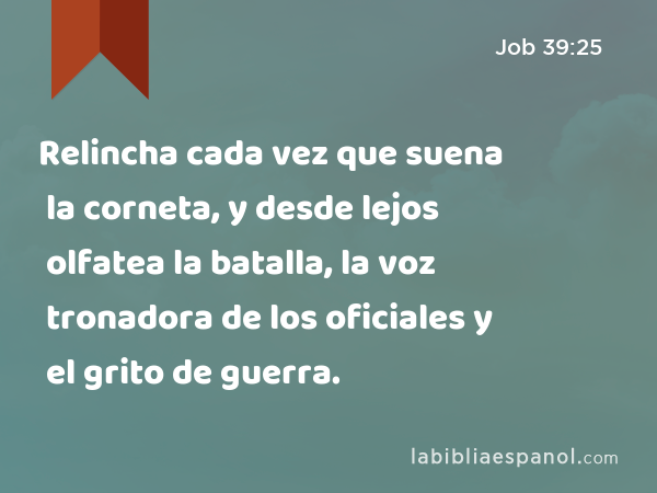 Relincha cada vez que suena la corneta, y desde lejos olfatea la batalla, la voz tronadora de los oficiales y el grito de guerra. - Job 39:25