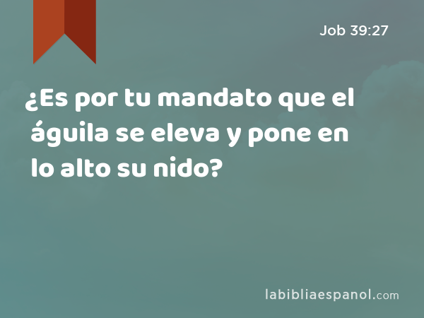 ¿Es por tu mandato que el águila se eleva y pone en lo alto su nido? - Job 39:27