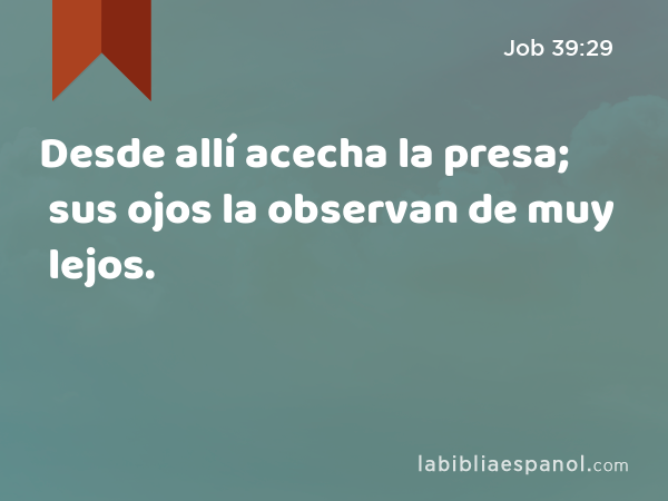 Desde allí acecha la presa; sus ojos la observan de muy lejos. - Job 39:29