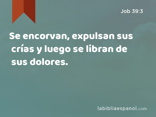 Se encorvan, expulsan sus crías y luego se libran de sus dolores. - Job 39:3