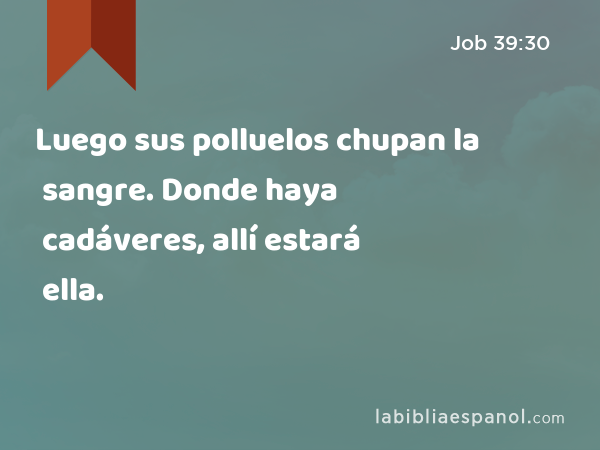 Luego sus polluelos chupan la sangre. Donde haya cadáveres, allí estará ella. - Job 39:30