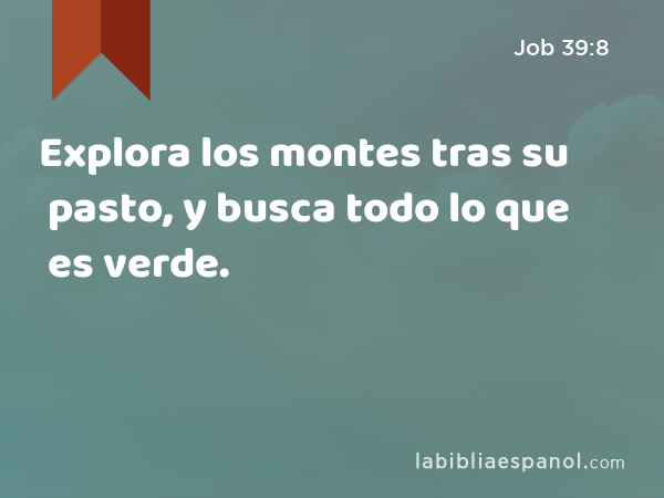 Explora los montes tras su pasto, y busca todo lo que es verde. - Job 39:8