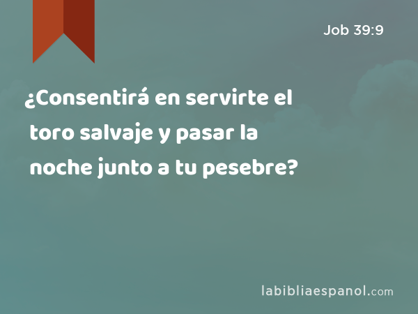 ¿Consentirá en servirte el toro salvaje y pasar la noche junto a tu pesebre? - Job 39:9