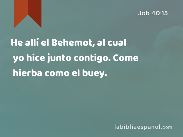 He allí el Behemot, al cual yo hice junto contigo. Come hierba como el buey. - Job 40:15