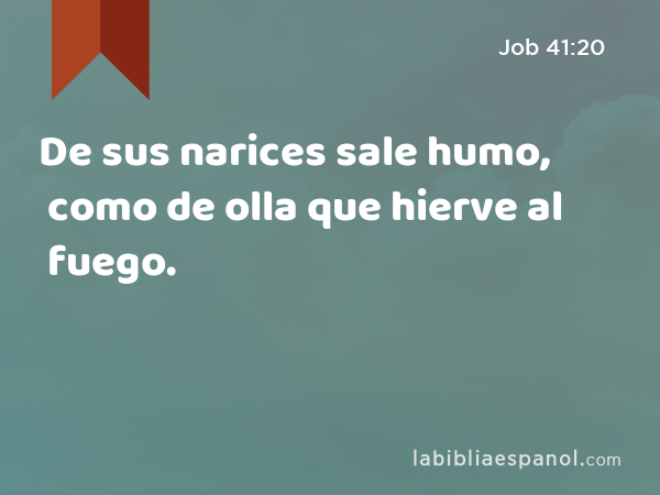 De sus narices sale humo, como de olla que hierve al fuego. - Job 41:20