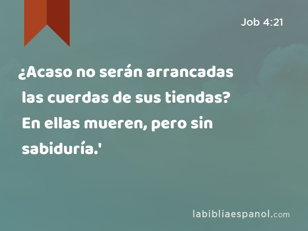 ¿Acaso no serán arrancadas las cuerdas de sus tiendas? En ellas mueren, pero sin sabiduría.' - Job 4:21