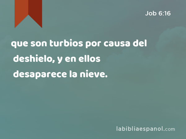 que son turbios por causa del deshielo, y en ellos desaparece la nieve. - Job 6:16