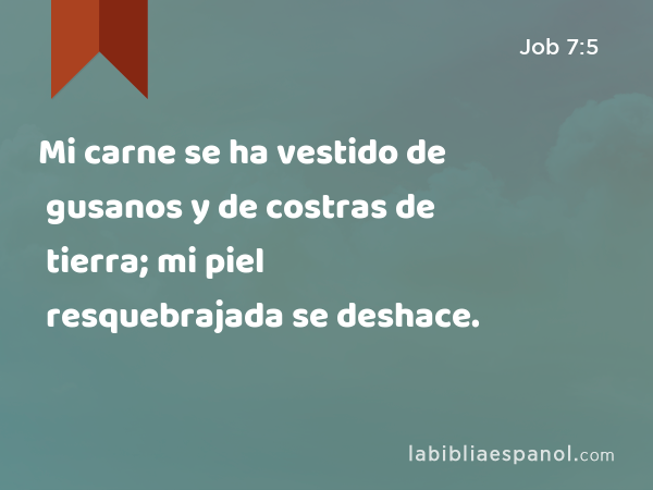 Mi carne se ha vestido de gusanos y de costras de tierra; mi piel resquebrajada se deshace. - Job 7:5