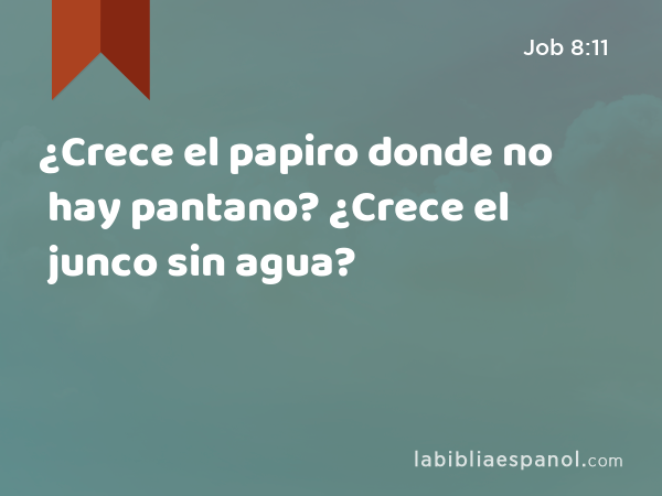 ¿Crece el papiro donde no hay pantano? ¿Crece el junco sin agua? - Job 8:11