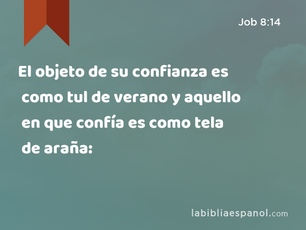 El objeto de su confianza es como tul de verano y aquello en que confía es como tela de araña: - Job 8:14