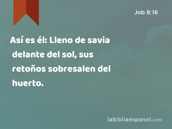 Así es él: Lleno de savia delante del sol, sus retoños sobresalen del huerto. - Job 8:16