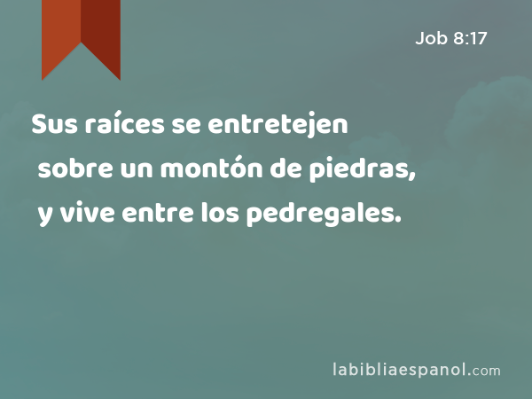 Sus raíces se entretejen sobre un montón de piedras, y vive entre los pedregales. - Job 8:17