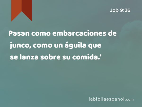 Pasan como embarcaciones de junco, como un águila que se lanza sobre su comida.' - Job 9:26