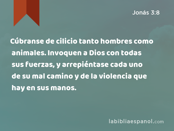 Cúbranse de cilicio tanto hombres como animales. Invoquen a Dios con todas sus fuerzas, y arrepiéntase cada uno de su mal camino y de la violencia que hay en sus manos. - Jonás 3:8