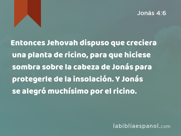 Entonces Jehovah dispuso que creciera una planta de ricino, para que hiciese sombra sobre la cabeza de Jonás para protegerle de la insolación. Y Jonás se alegró muchísimo por el ricino. - Jonás 4:6