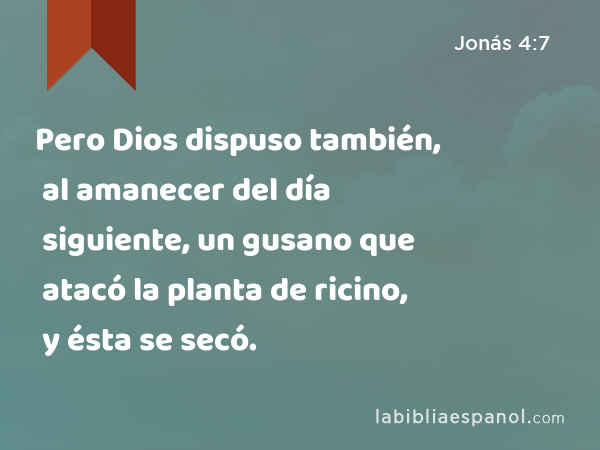 Pero Dios dispuso también, al amanecer del día siguiente, un gusano que atacó la planta de ricino, y ésta se secó. - Jonás 4:7