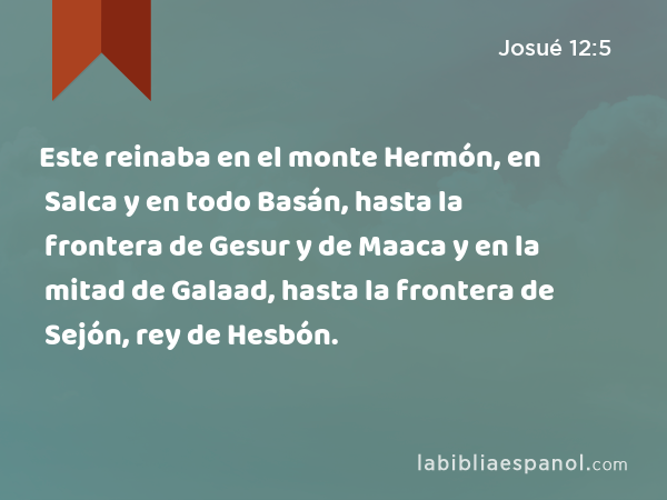 Este reinaba en el monte Hermón, en Salca y en todo Basán, hasta la frontera de Gesur y de Maaca y en la mitad de Galaad, hasta la frontera de Sejón, rey de Hesbón. - Josué 12:5