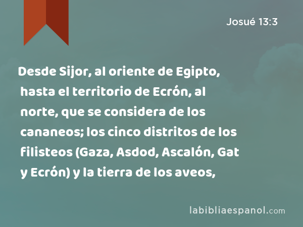 Desde Sijor, al oriente de Egipto, hasta el territorio de Ecrón, al norte, que se considera de los cananeos; los cinco distritos de los filisteos (Gaza, Asdod, Ascalón, Gat y Ecrón) y la tierra de los aveos, - Josué 13:3