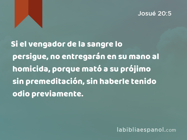 Si el vengador de la sangre lo persigue, no entregarán en su mano al homicida, porque mató a su prójimo sin premeditación, sin haberle tenido odio previamente. - Josué 20:5