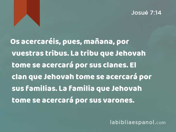 Os acercaréis, pues, mañana, por vuestras tribus. La tribu que Jehovah tome se acercará por sus clanes. El clan que Jehovah tome se acercará por sus familias. La familia que Jehovah tome se acercará por sus varones. - Josué 7:14