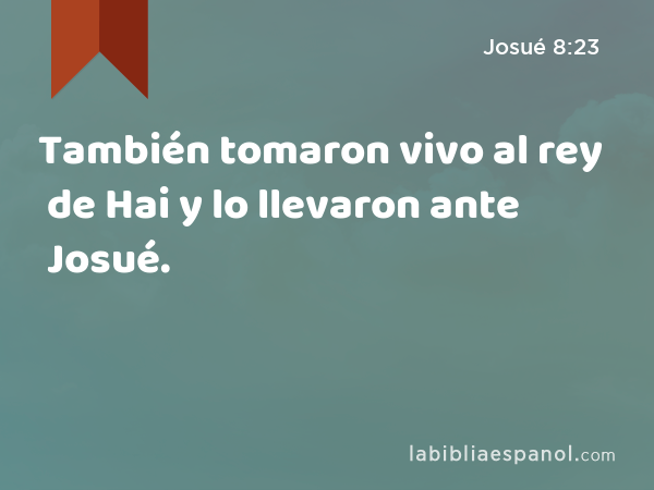 También tomaron vivo al rey de Hai y lo llevaron ante Josué. - Josué 8:23