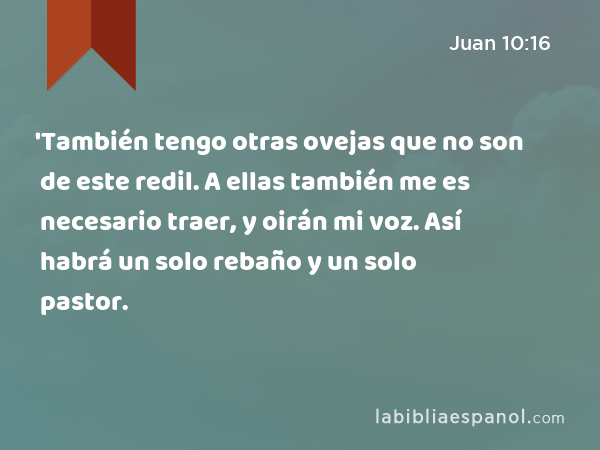 'También tengo otras ovejas que no son de este redil. A ellas también me es necesario traer, y oirán mi voz. Así habrá un solo rebaño y un solo pastor. - Juan 10:16