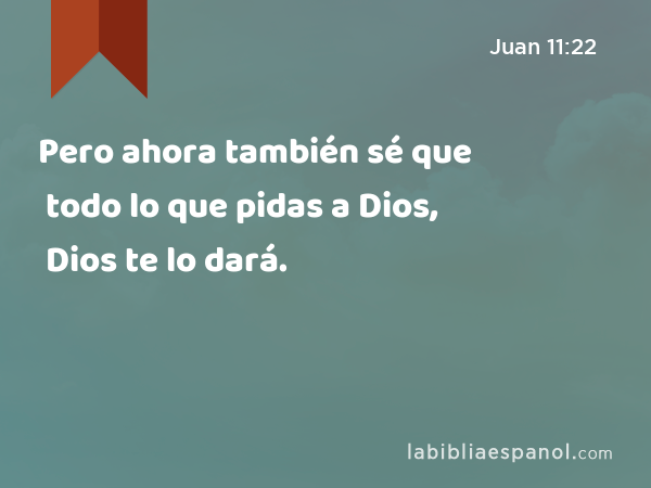 Pero ahora también sé que todo lo que pidas a Dios, Dios te lo dará. - Juan 11:22