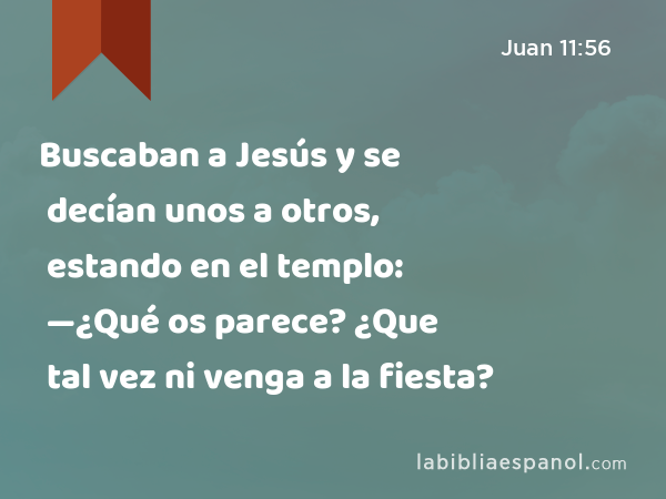 Buscaban a Jesús y se decían unos a otros, estando en el templo: —¿Qué os parece? ¿Que tal vez ni venga a la fiesta? - Juan 11:56